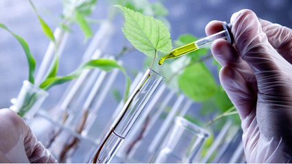 里貝里生物科技引進創新技術，引領水溶肥研發與生產新篇章